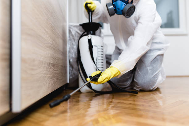 Best Pest Prevention Services  in Dodson Branch, TN