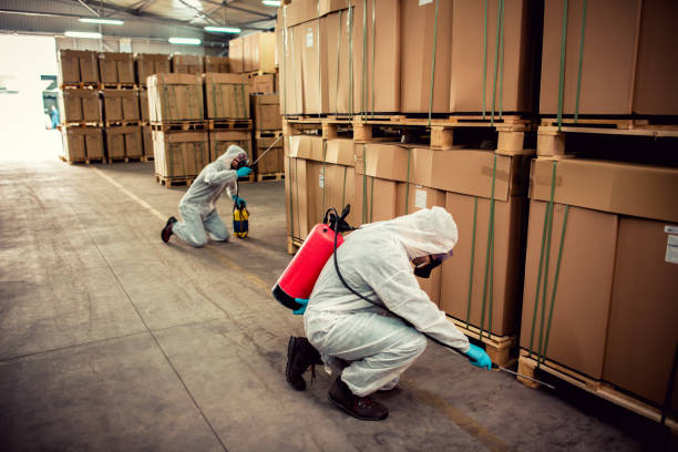 Best Emergency Pest Control  in Dodson Branch, TN