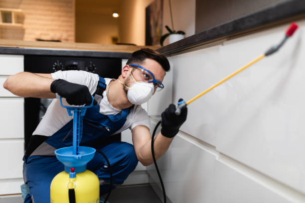 Best Cockroach Control Services  in Dodson Branch, TN