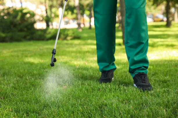 Flea Control Services in Dodson Branch, TN