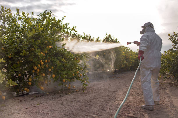 Professional Pest Control in Dodson Branch, TN