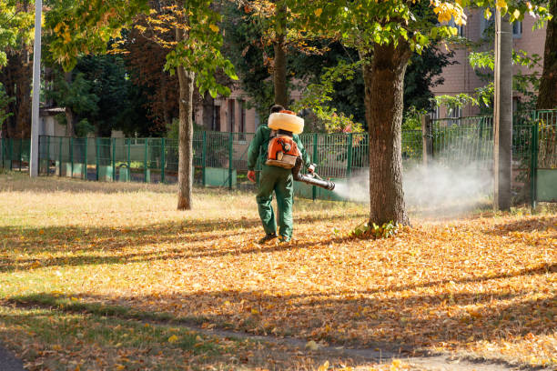 Best Pest Inspection Near Me  in Dodson Branch, TN
