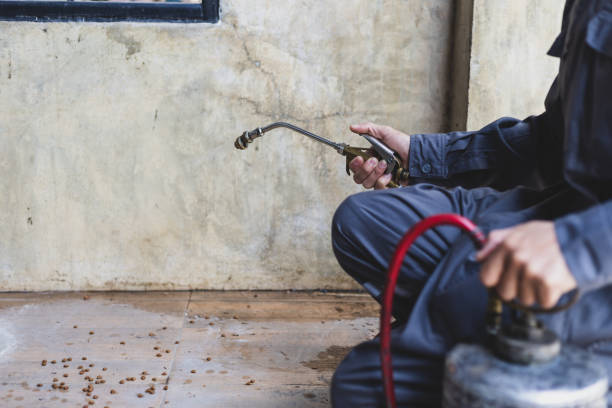 Best Residential Pest Control  in Dodson Branch, TN